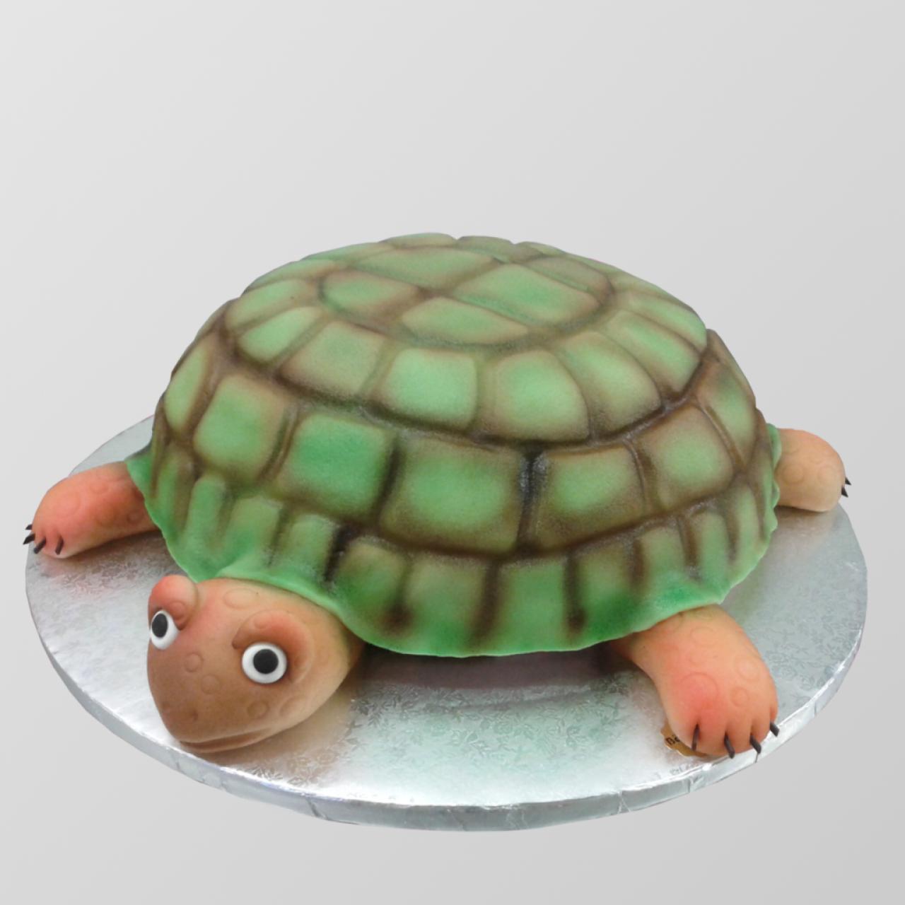 S.64 Sondertorte "Schildkr&ouml;te"